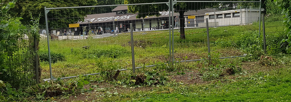 Skatepark Bonn Bowl Baustrasse