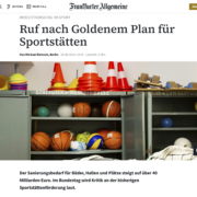 FAZ-Artikel_Ralf-Maier_Fachgespraech-im-Bundestag