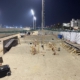Update aus Bahrain: Bau des neuen Skateparks